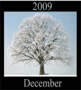 The EmoTrance December 2009 Newsletter